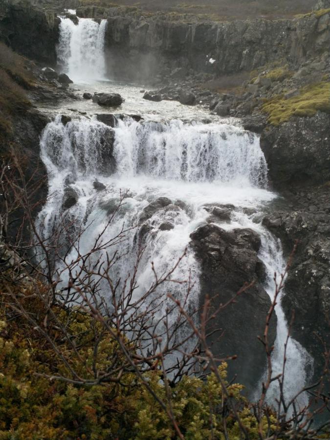 Aegisholt Privete House With Hot Tub Lägenhet Patreksfjordur Exteriör bild