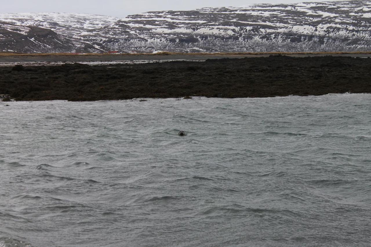 Aegisholt Privete House With Hot Tub Lägenhet Patreksfjordur Exteriör bild