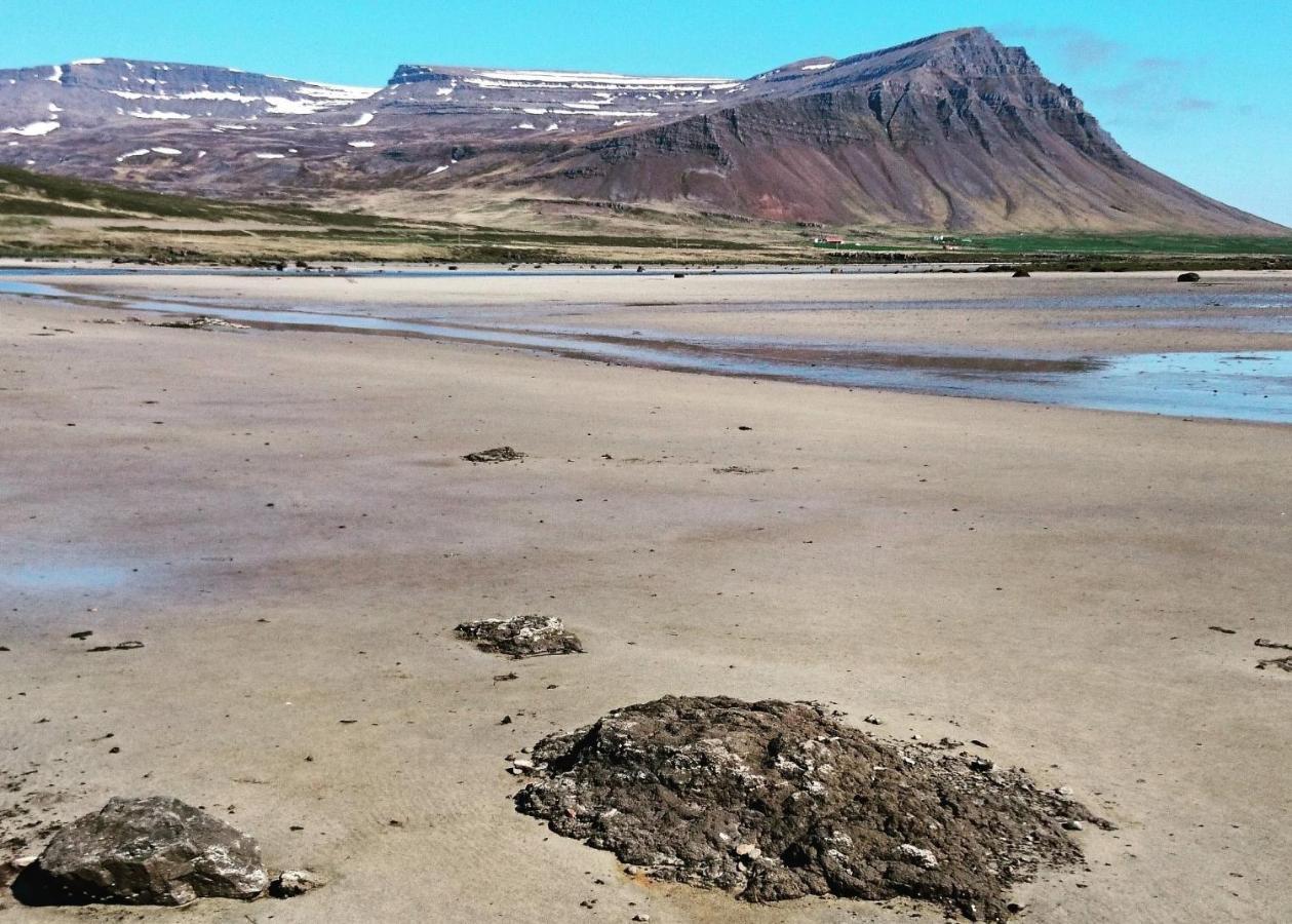 Aegisholt Privete House With Hot Tub Lägenhet Patreksfjordur Exteriör bild