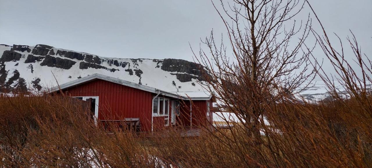 Aegisholt Privete House With Hot Tub Lägenhet Patreksfjordur Exteriör bild